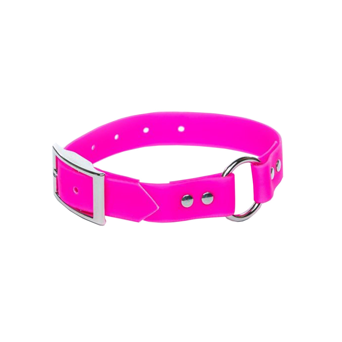 Upland Field Dog Collar