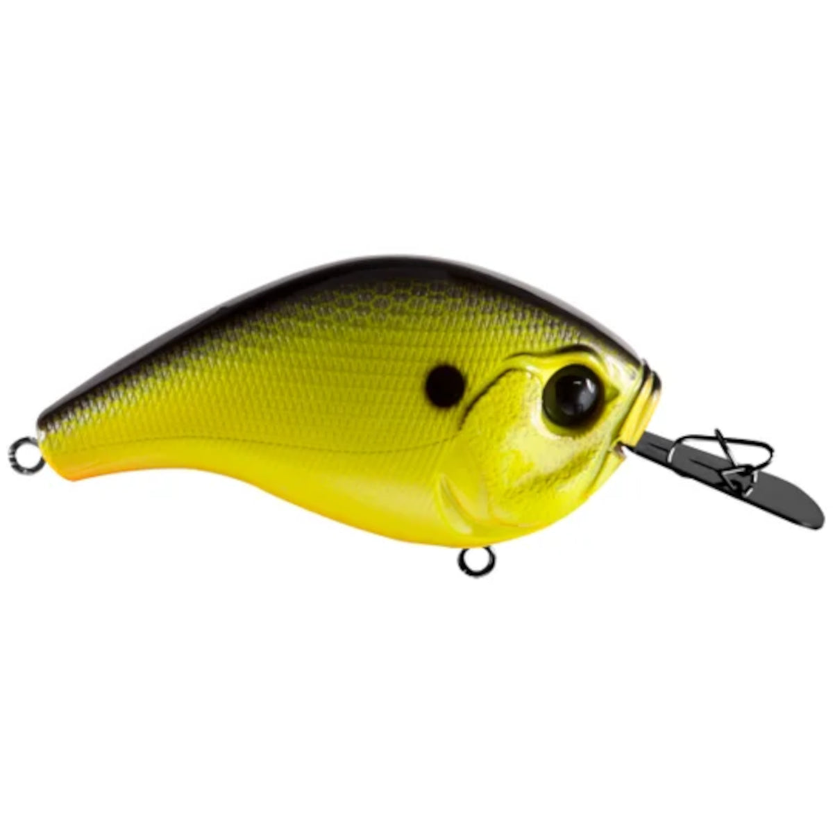 Jabber Jaw - Hybrid Squarebill