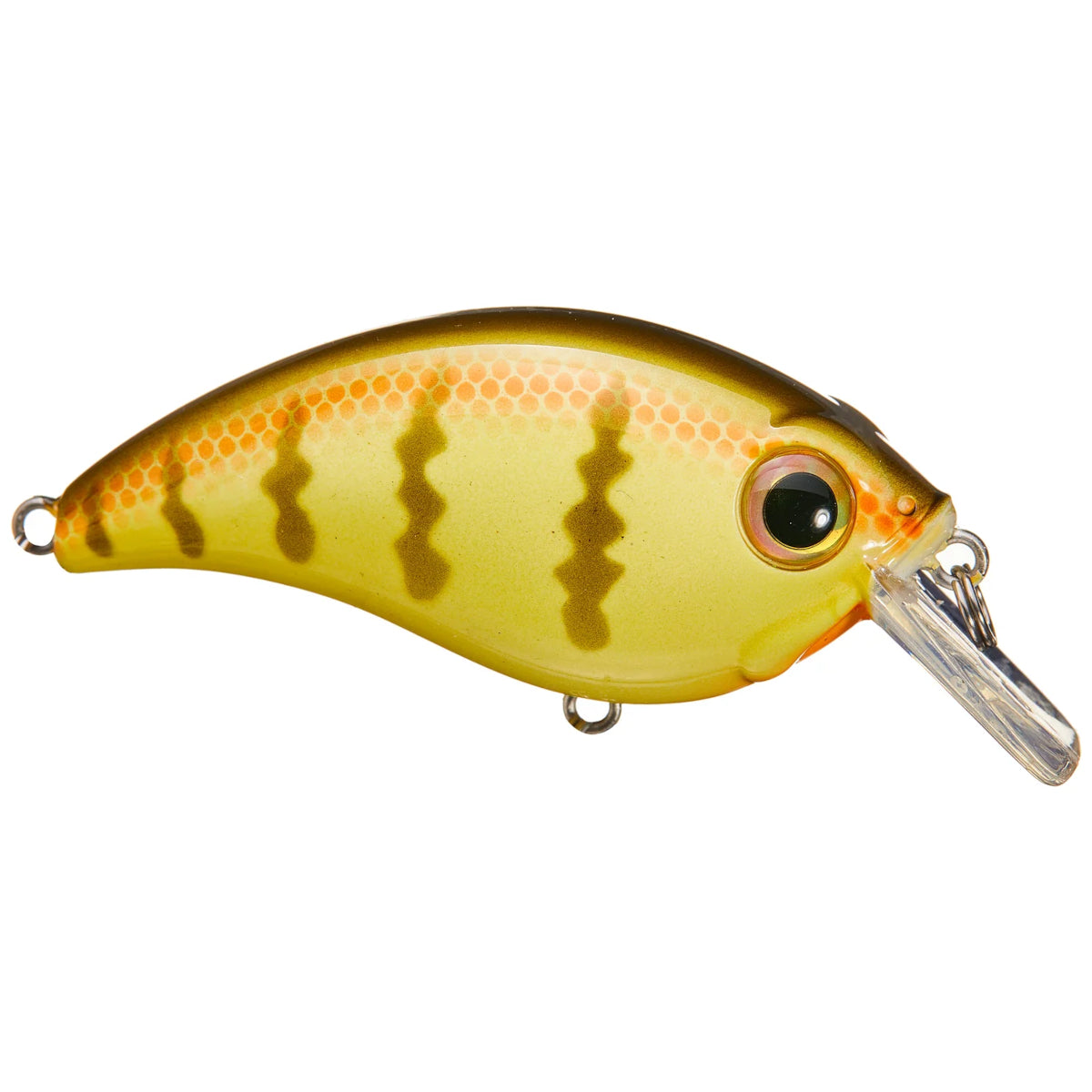 ATV Squarebill Crankbait