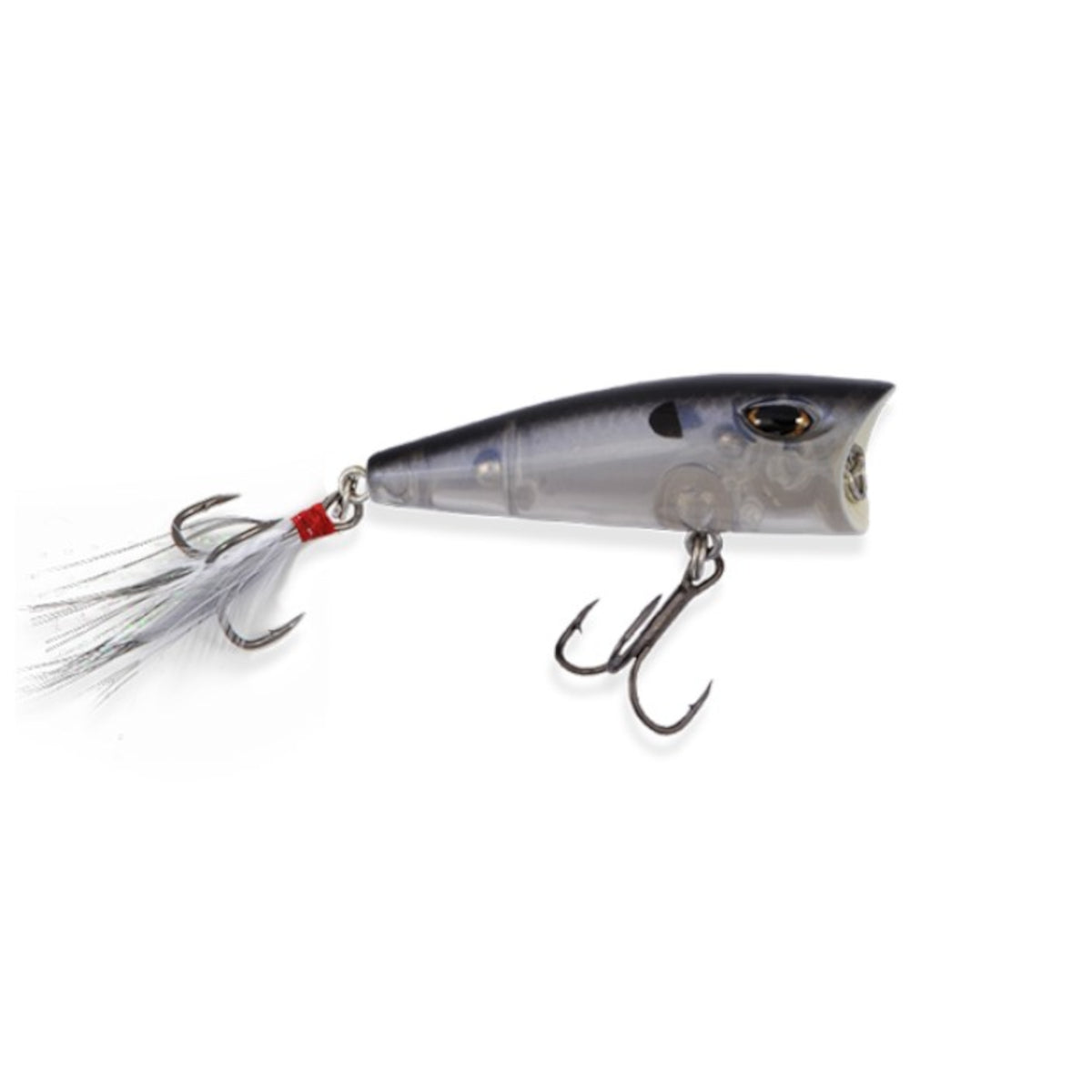 BD Topwater Popper
