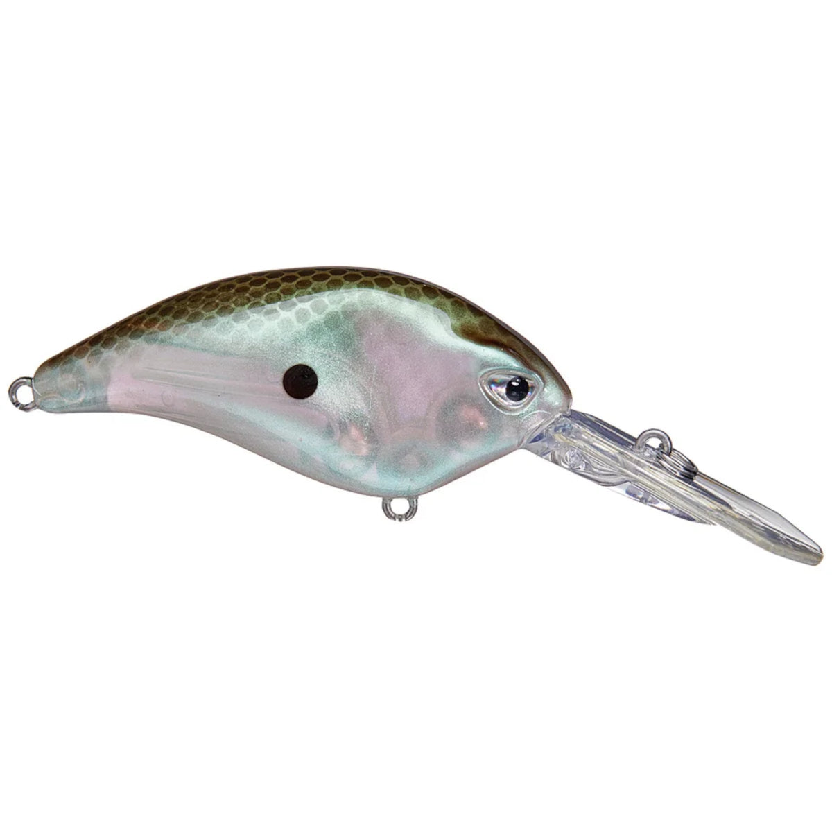 BD Revolt DR Crankbait