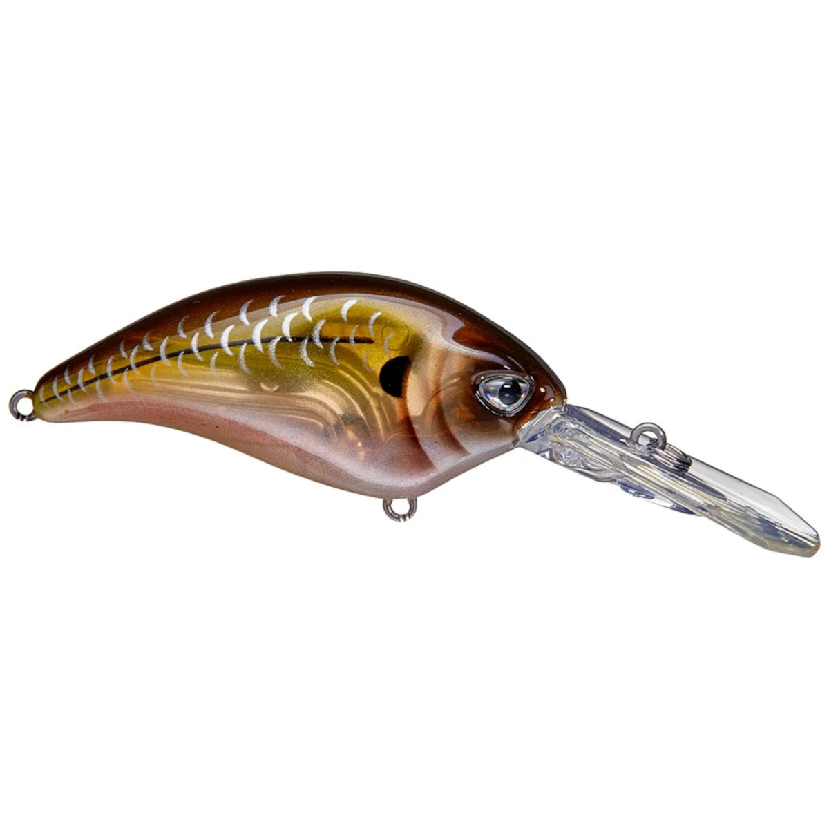 BD Revolt DR Crankbait