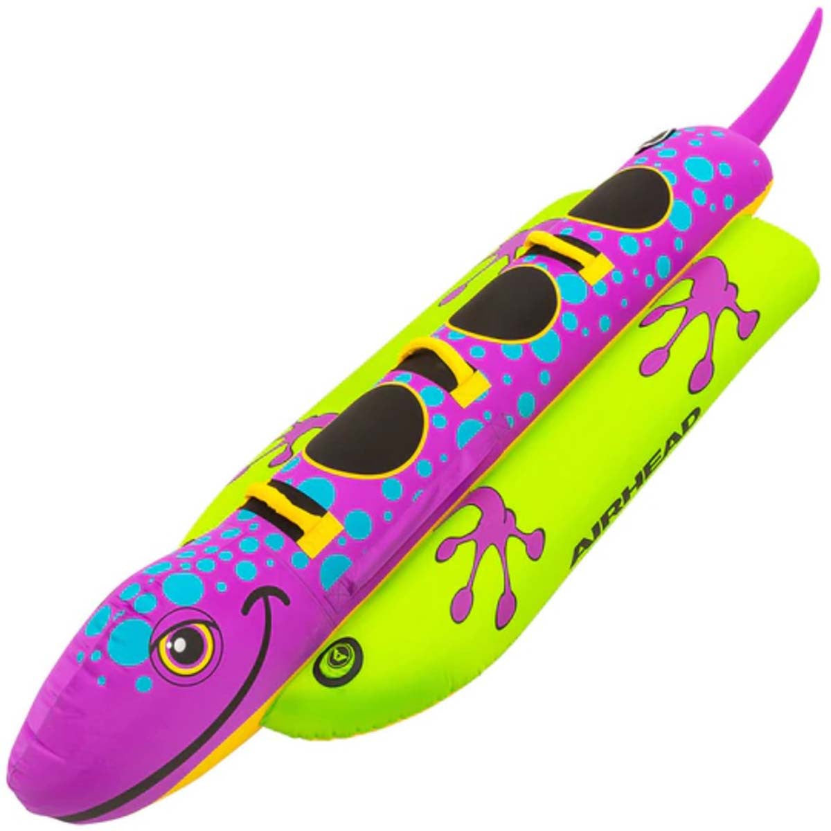 Salamander