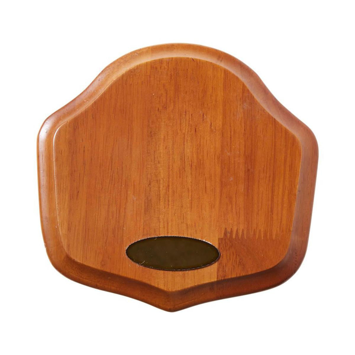 Allen Deer Trophy Mounting Kit