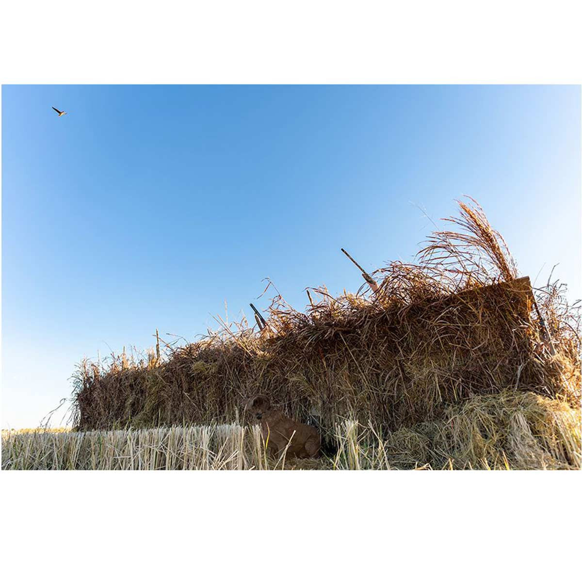 Alpha Waterfowl Blind, Tan