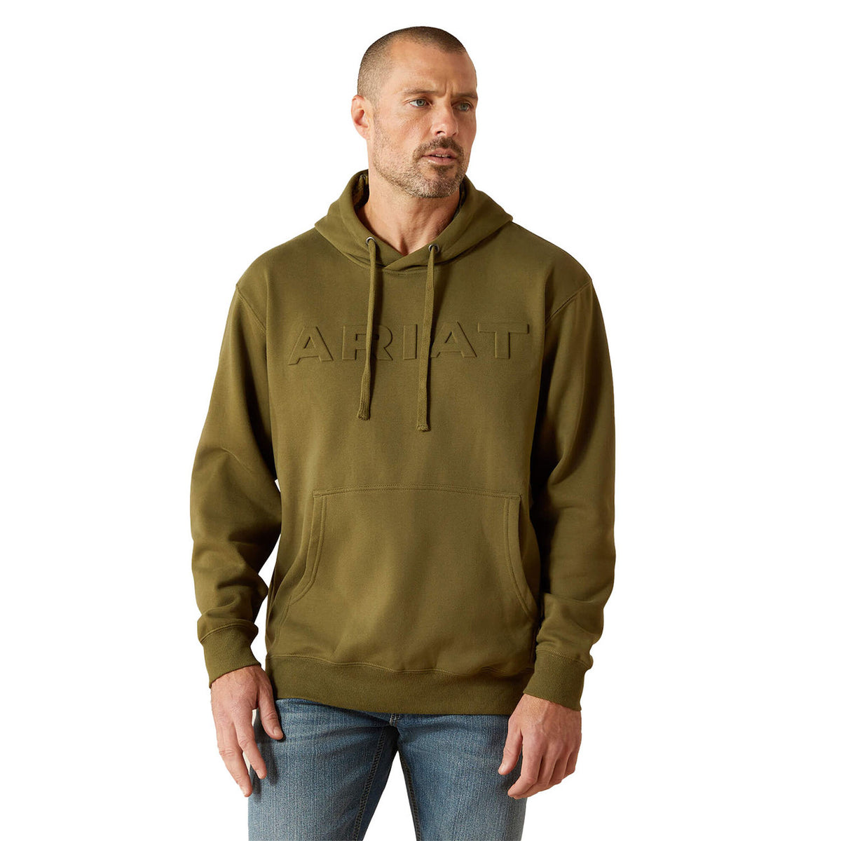 Ariat Embossed Logo Hoodie image in Winter Moss