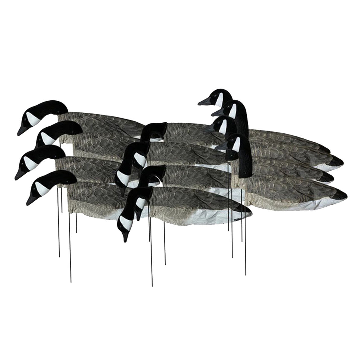 Image of the GHG 3D Flocked Head Pro Grade Canada Goose Windsock Harvester 12 Pack.
