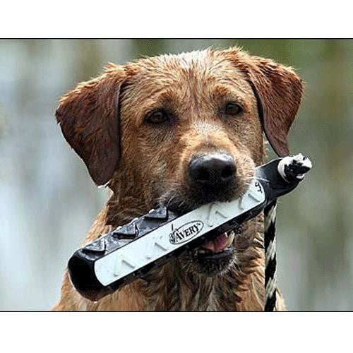 Avery Sporting Dogs HexaBumper Hunting Dog 2" Training Bumper Lifestyle Image