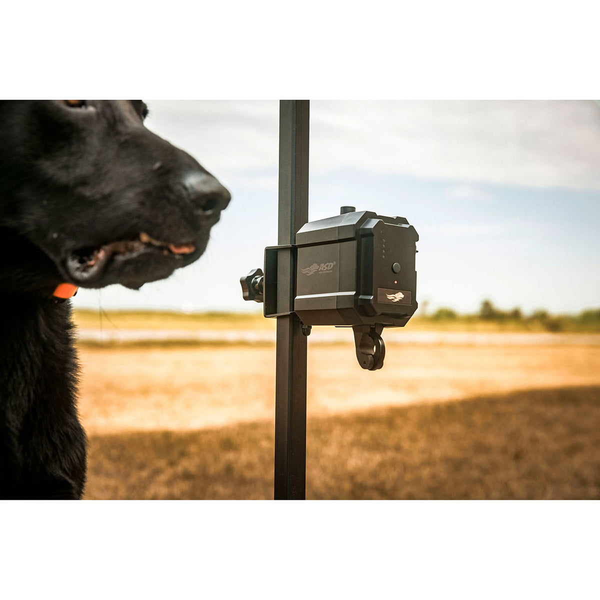 Avery No Break Safety System