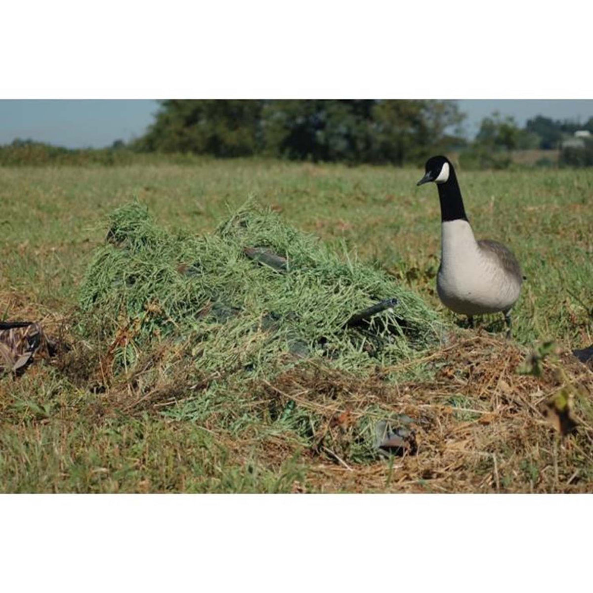 Image of the Avery Killerweed 10 lb. Kit in Winter Wheat.