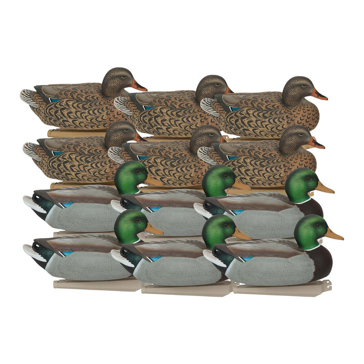 GHG Decoy Systems Foam-Filled Essential Series Mallard Duck Decoys 12 Pack Image