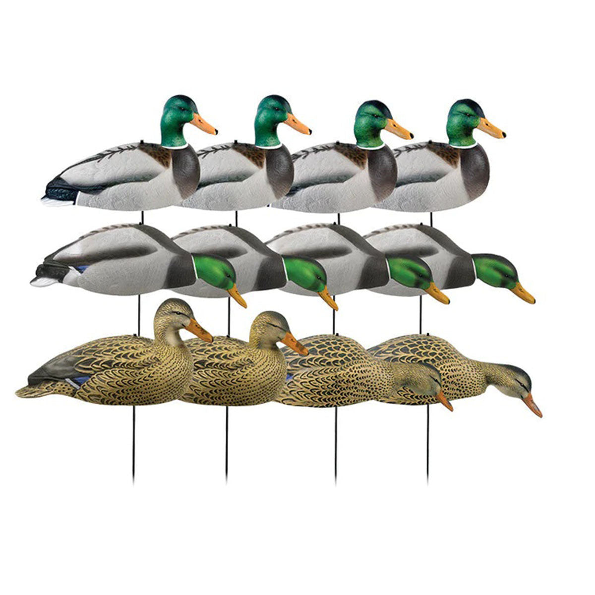 GHG Hunter Series Over-Size Mallard Shell Duck Decoys Image