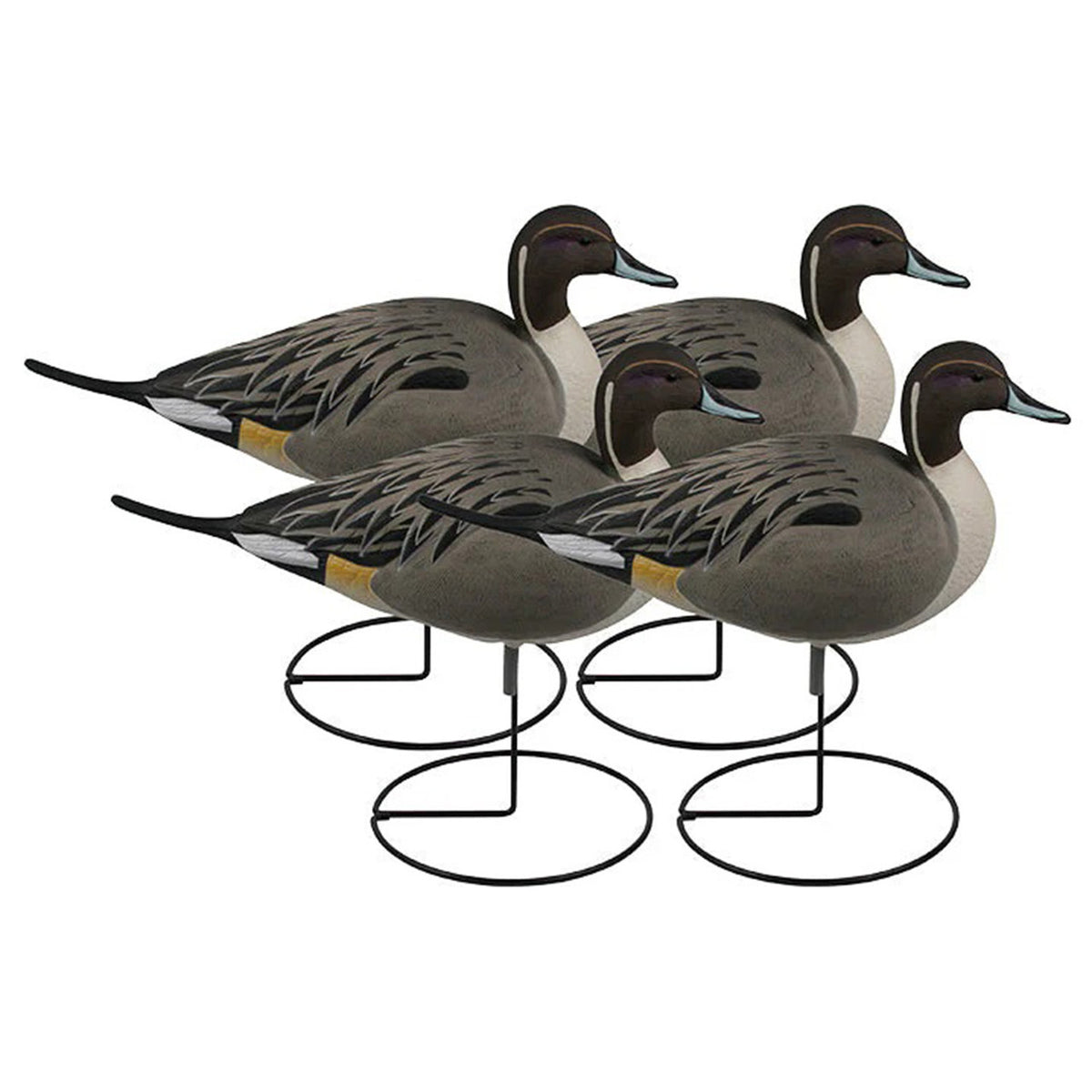 GHG Decoy Systems Hunter Series Over Size Full-Body Pintail Decoys - Pack of 4 Image