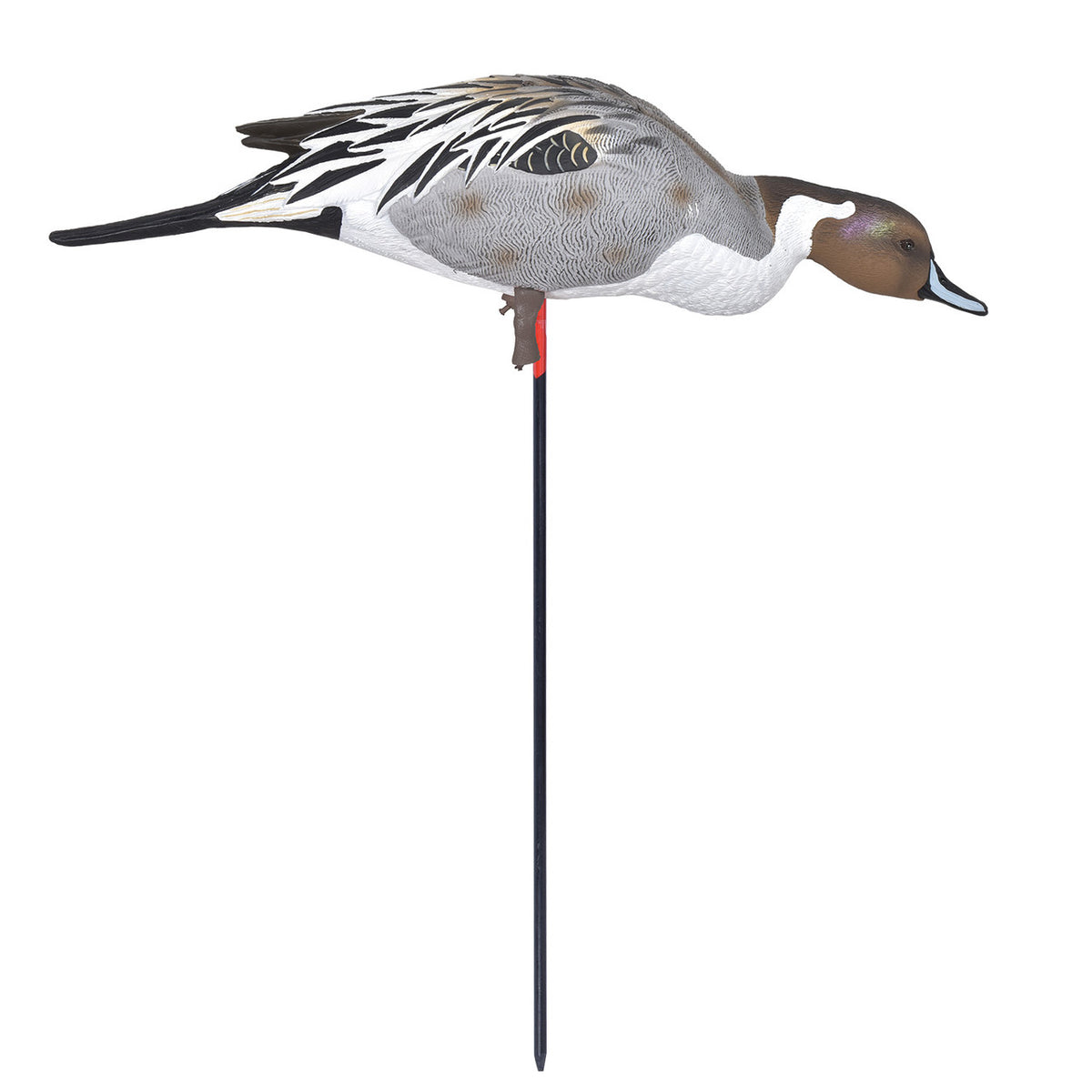 GHG Pro-Grade Full-Body Pintail Duck Decoy Feeder Drake Image