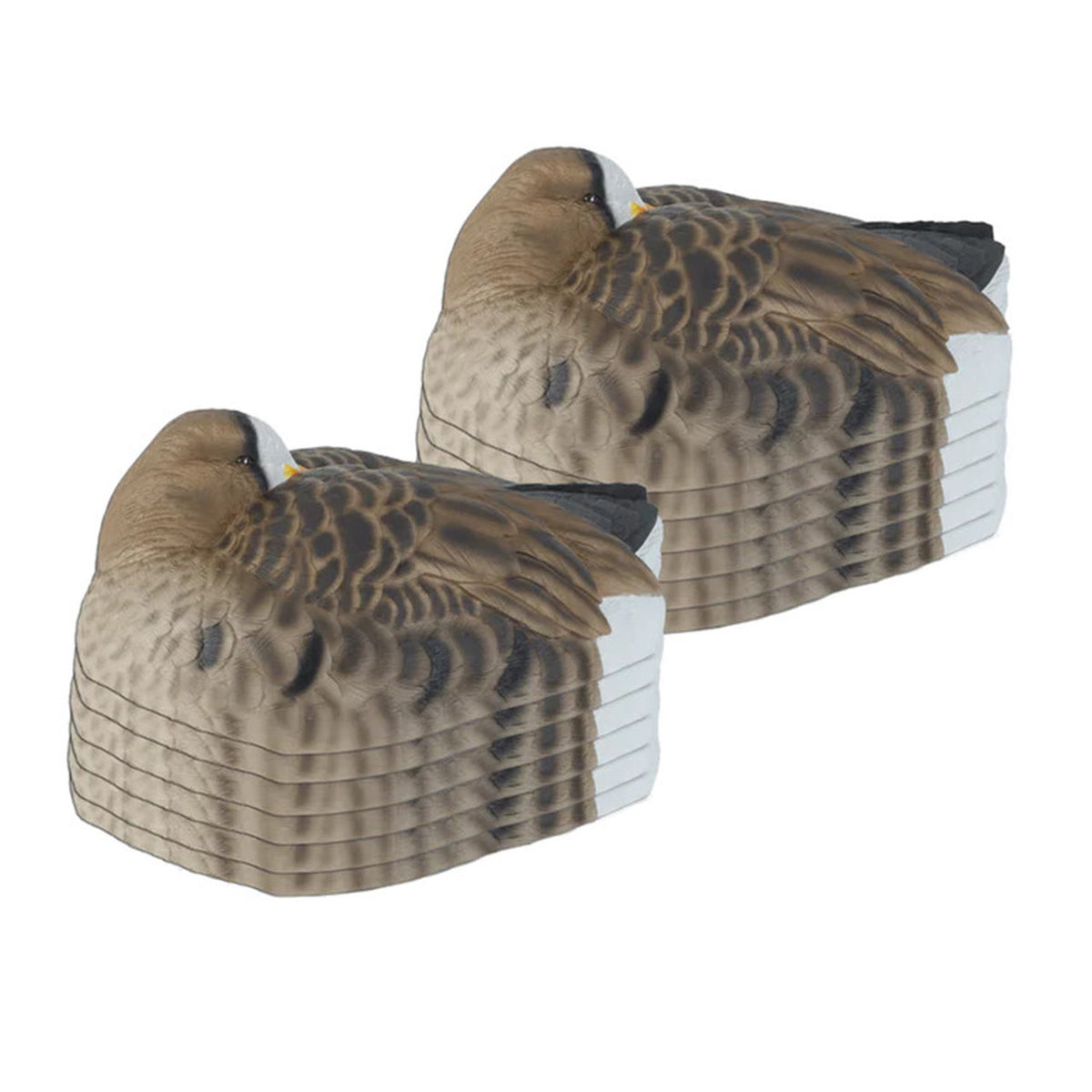 Image of the GHG Pro-Flex Specklebelly Sleeper Decoy Shells.