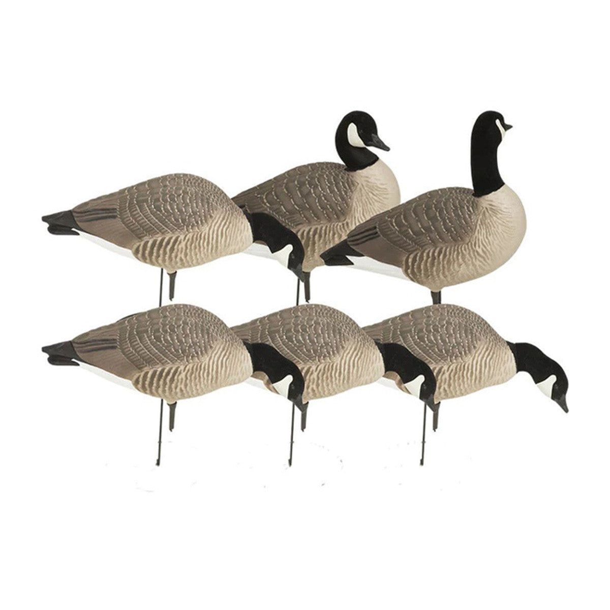GHG Decoy Systems Hunter Series Full Body Lesser Canada Harvesters, 6 Pack Image
