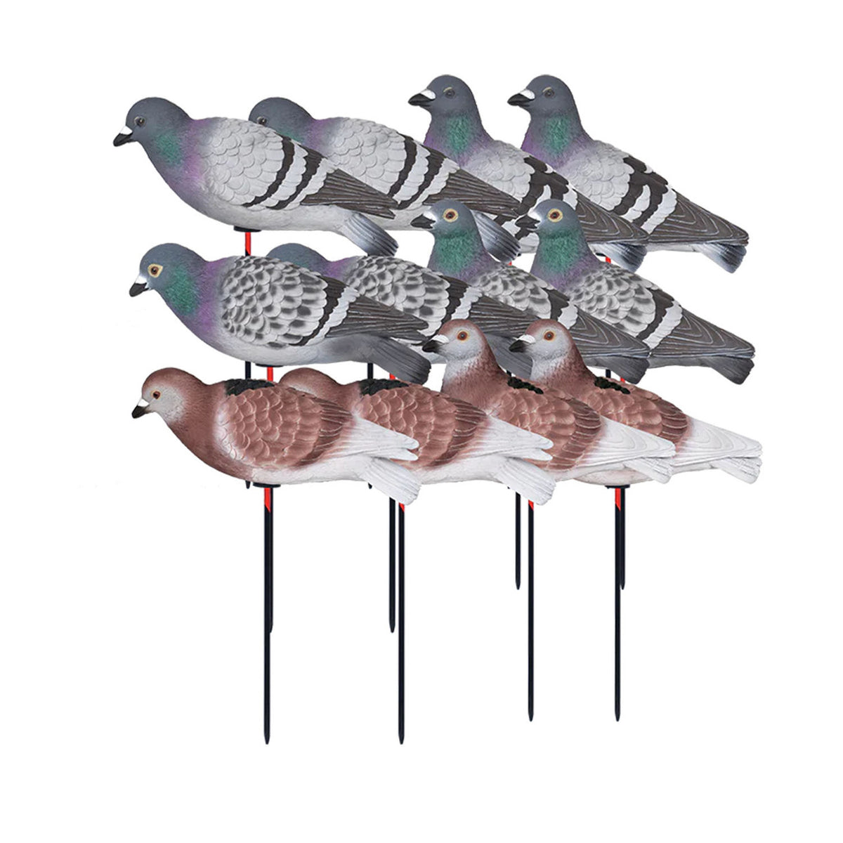 GHG Decoy Systems Full Body Pigeon Decoys 12 Pack image