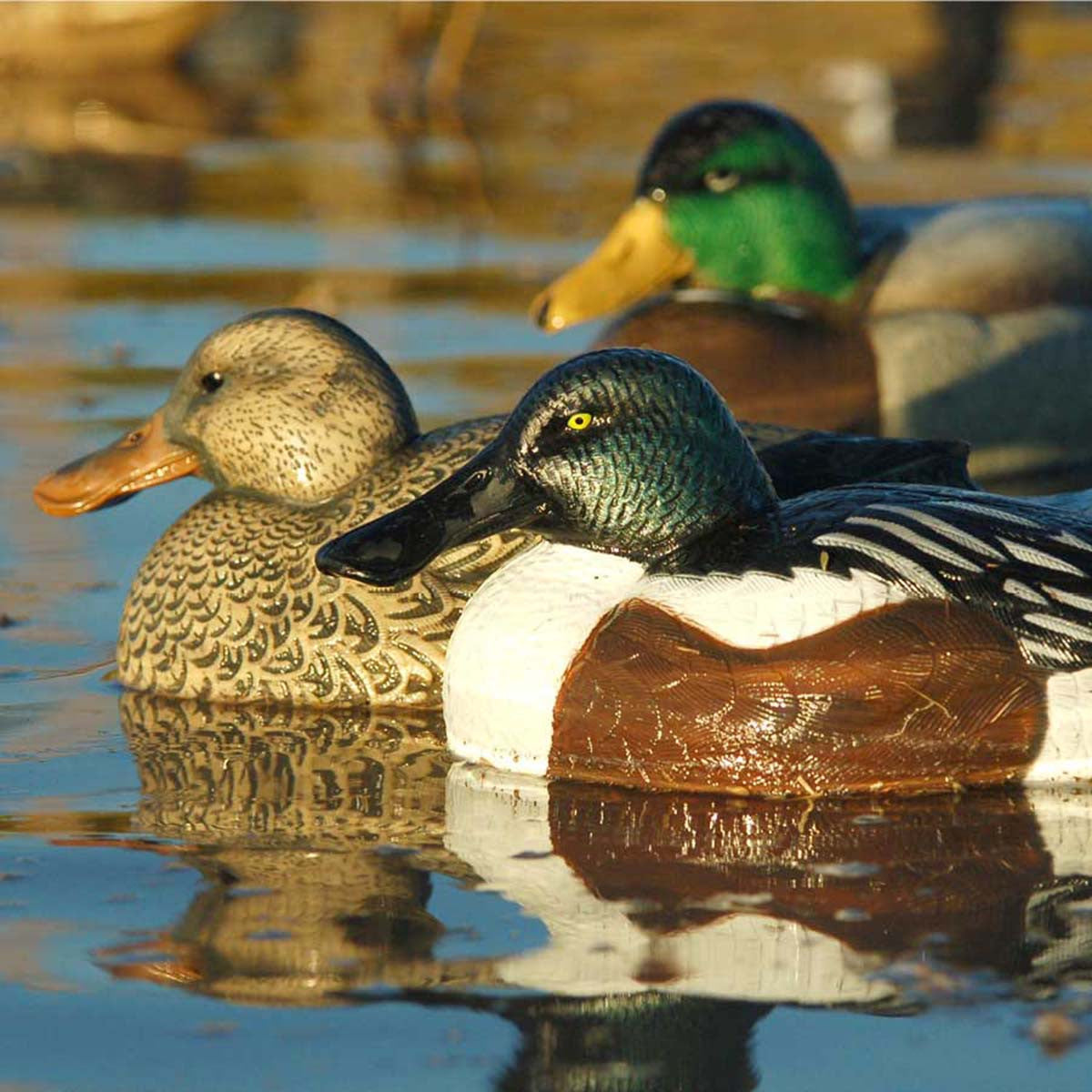 GHG Decoy Systems Hunter Series Over-Size Shovelers Lifestyle Image
