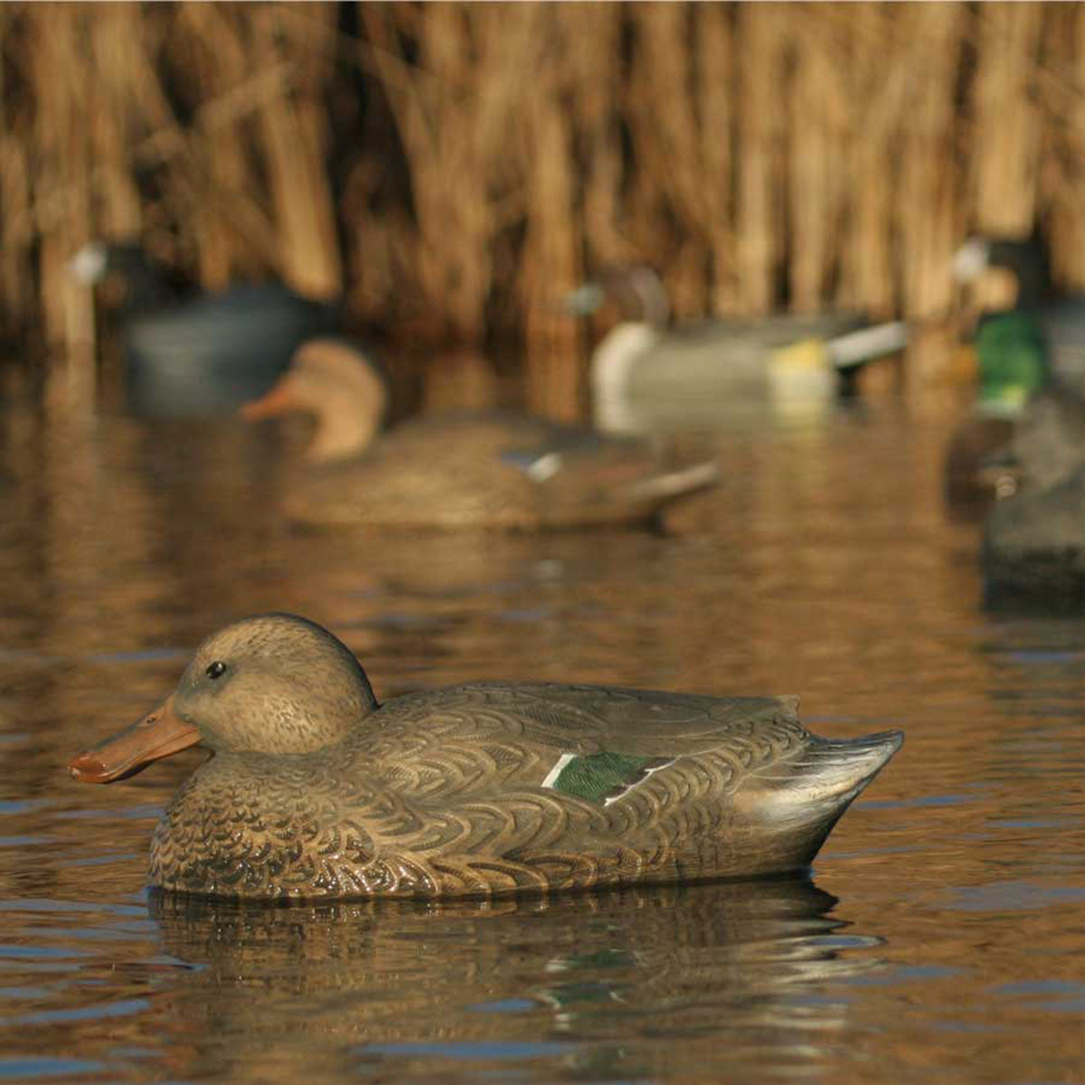 GHG Decoy Systems Hunter Series Over-Size Shovelers Lifestyle Image
