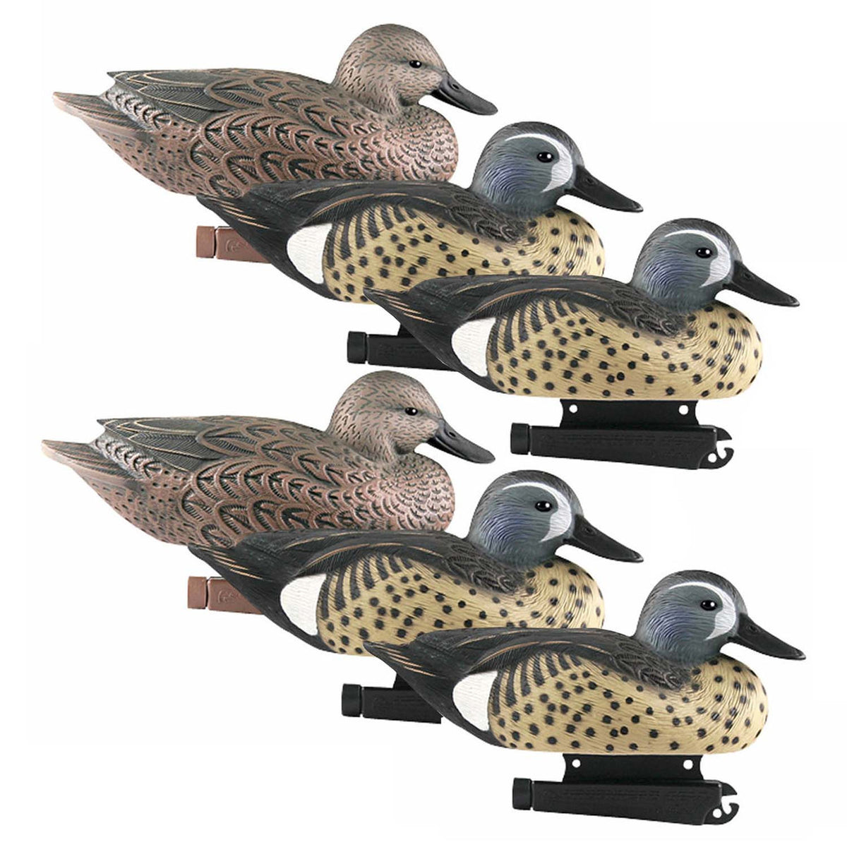 GHG Decoy Systems Life-Size Blue-Winged Teal Duck Decoy 6 Pack Image