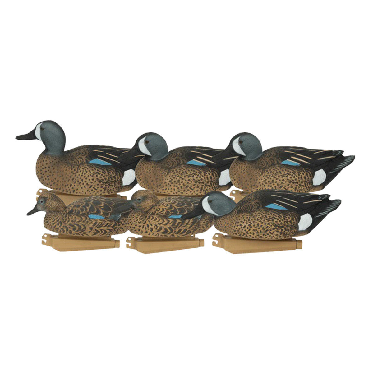 Pro-Grade Blue-Winged Teal Harvester Duck Decoys 6 Pack Image