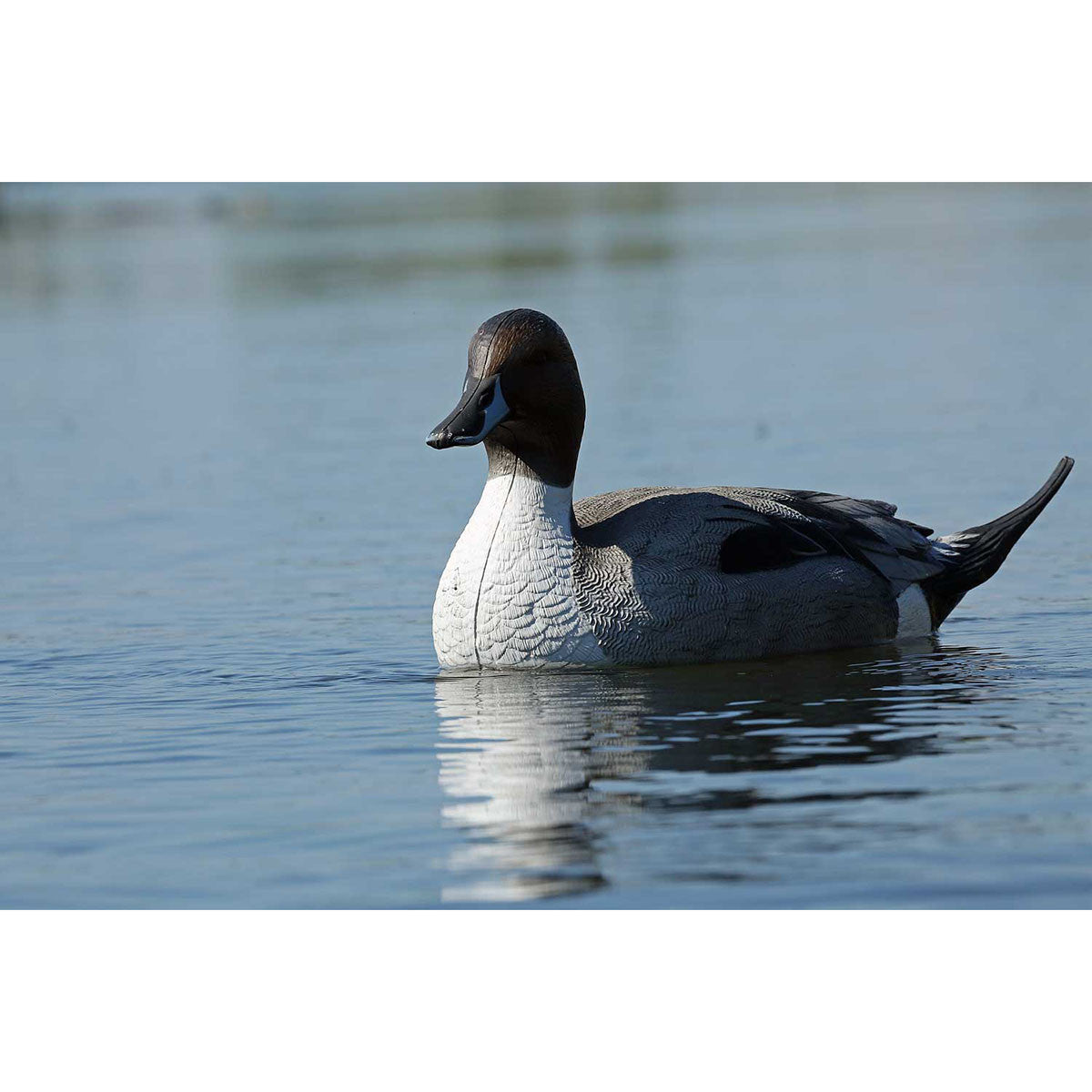 GHG Pro-Grade Pintails Decoys Drake Image