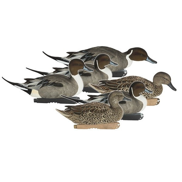 Pro-Grade Fully Flocked Pintails, 6 pack