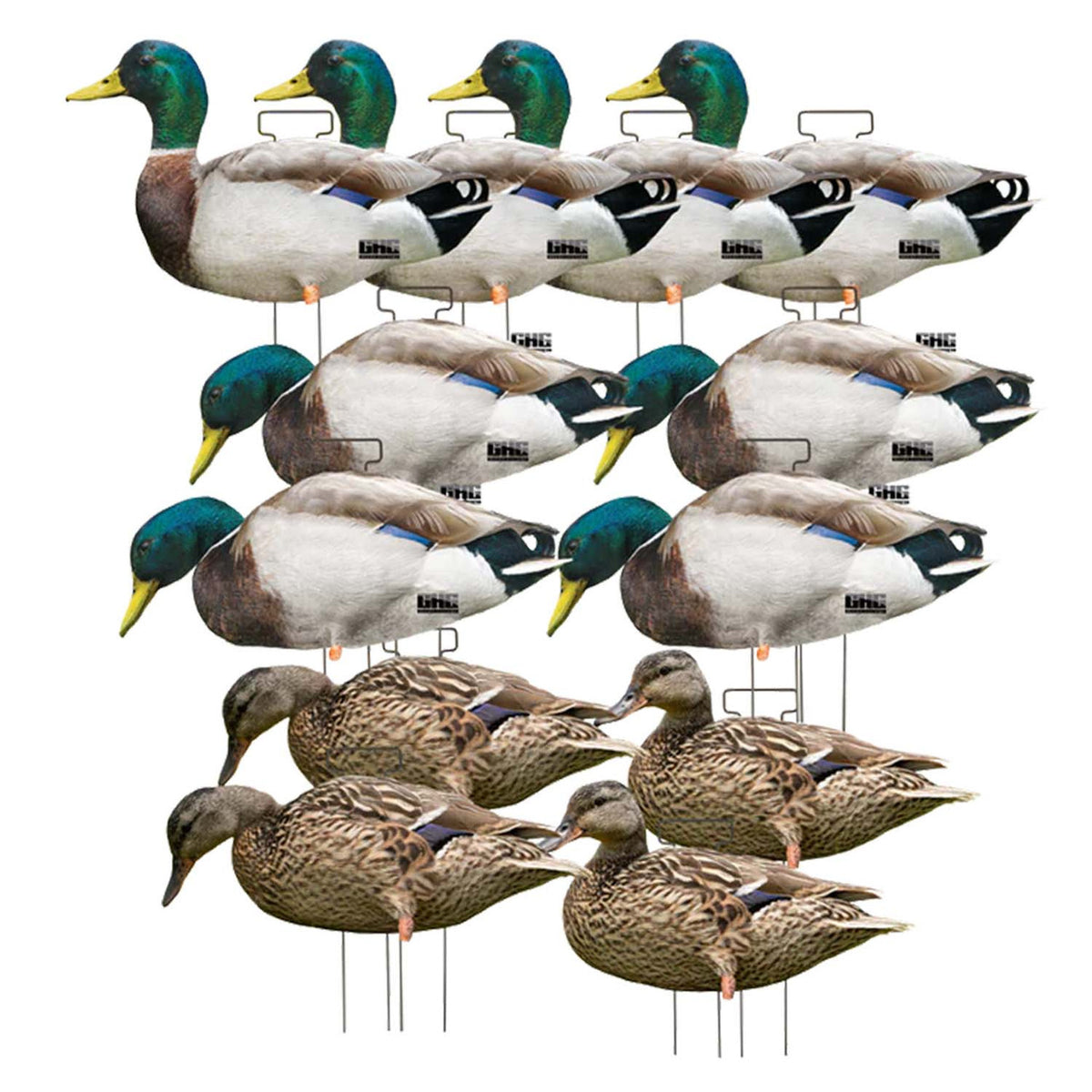 GHG Decoy Systems Pro-Grade Mallard Duck Silhouette Decoys 12 Pack Image.