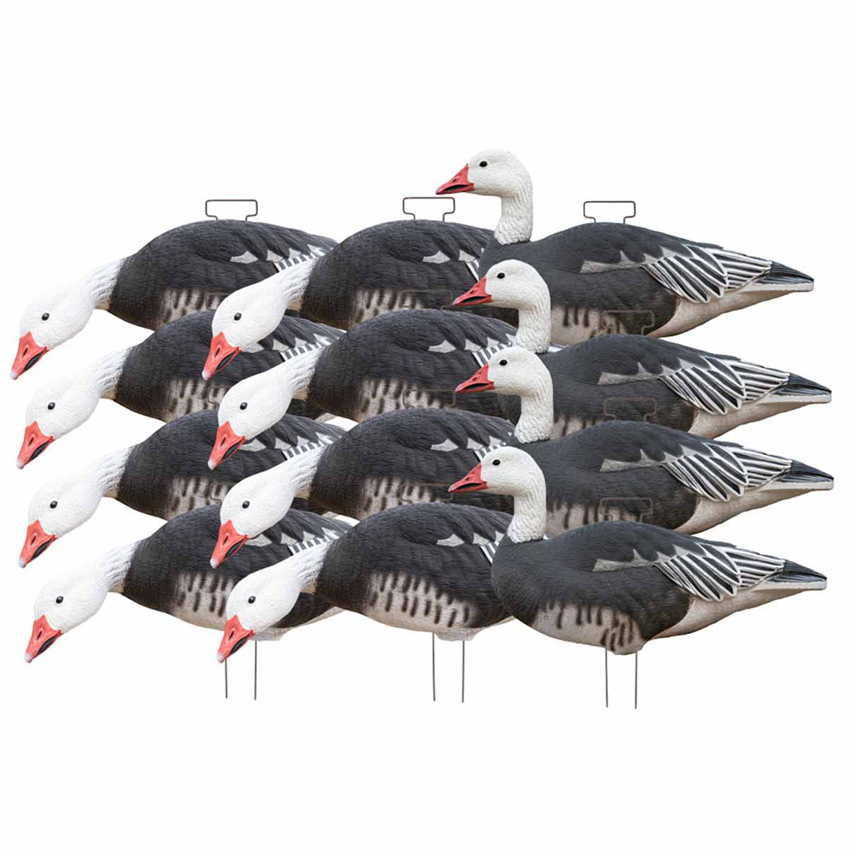 Pro-Grade XD Series Blue Goose Silhouette Decoys - 12 Pack