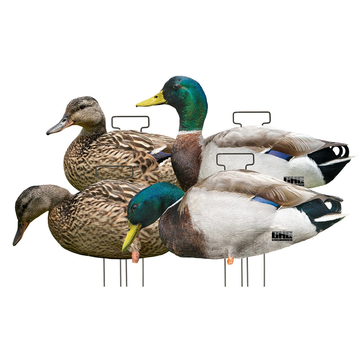 GHG Decoy Systems Pro Grade FFD Mallard Duck Silhouette Decoys Image