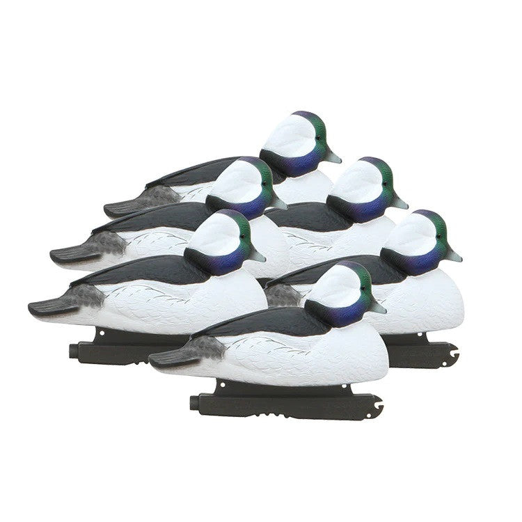 GHG Hunter Series Over Sized Foam Filled Bufflehead Duck Decoys - 6 Pack image