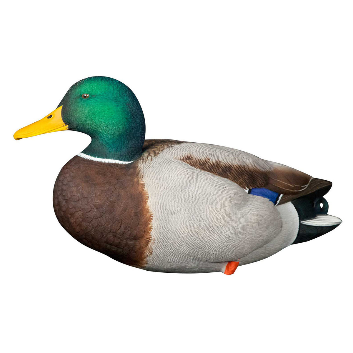 Avian-X AXP Full Body Mallard Decoys Low Head Drake