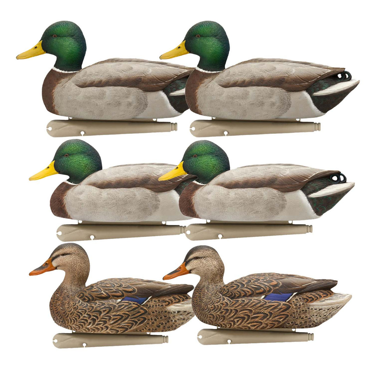 Avian-X Open Water Floating Mallard Duck Decoys, 6 Pack Image