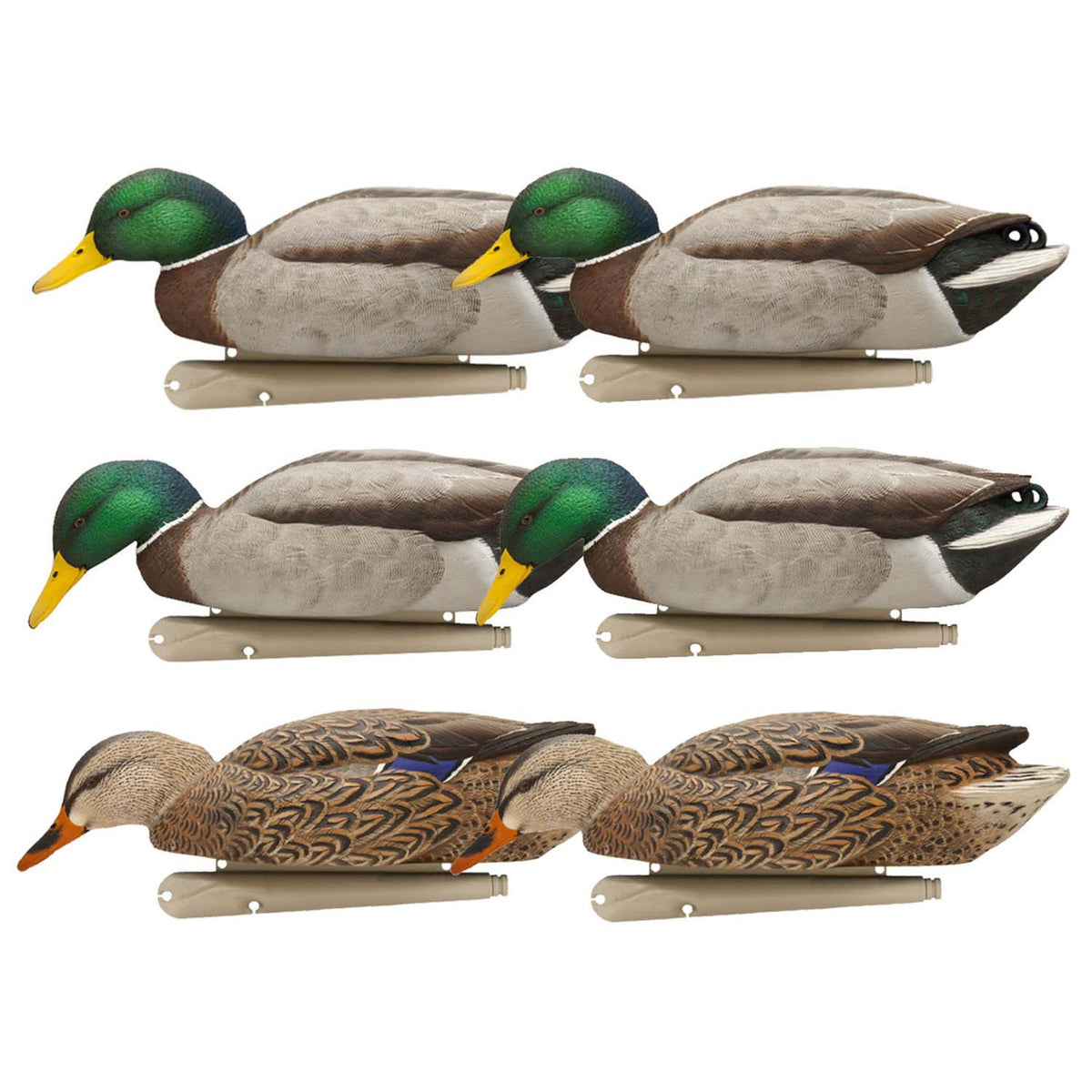Avian-X Back Water Floating Mallard Duck Decoys 6 Pack Image