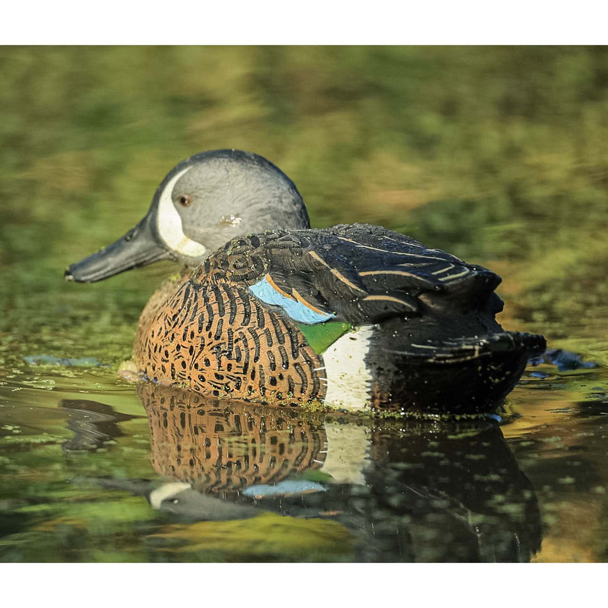 Topflight Blue-Winged Teal Floating Duck Decoy Lowhead Drake Lifestyle Image