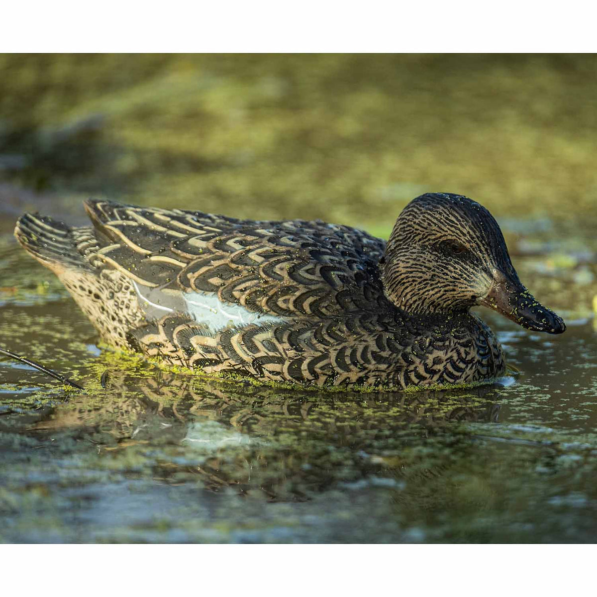 Topflight Blue-Winged Teal Floating Duck Decoy Lowhead  Hen Lifestyle Image