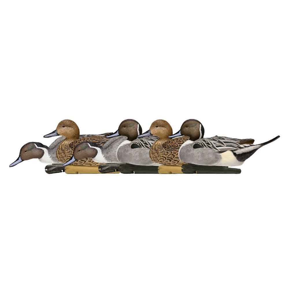 Avian-X Topflight Floating Pintail Decoys, 6 Pack Image