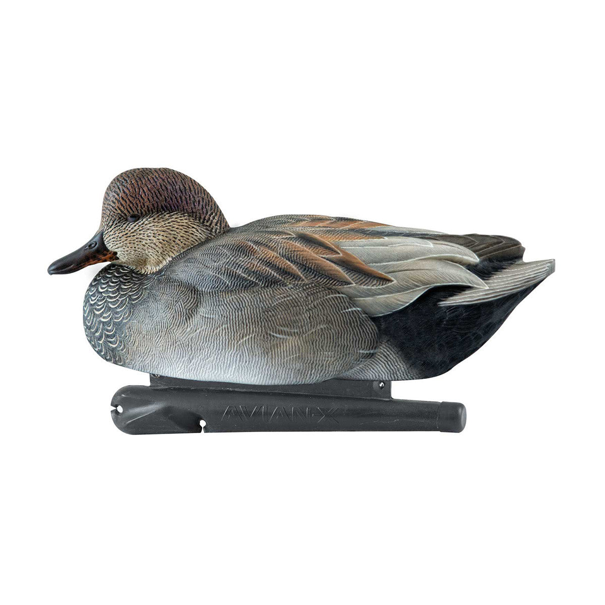 Low Head Drake Image of the Avian-X Topflight Floating Gadwall Duck Decoys.