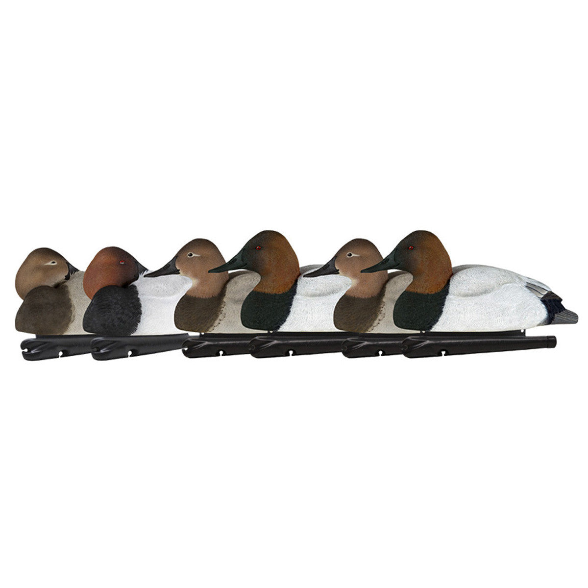 Avian-X Topflight Canvasbacks Duck Decoys