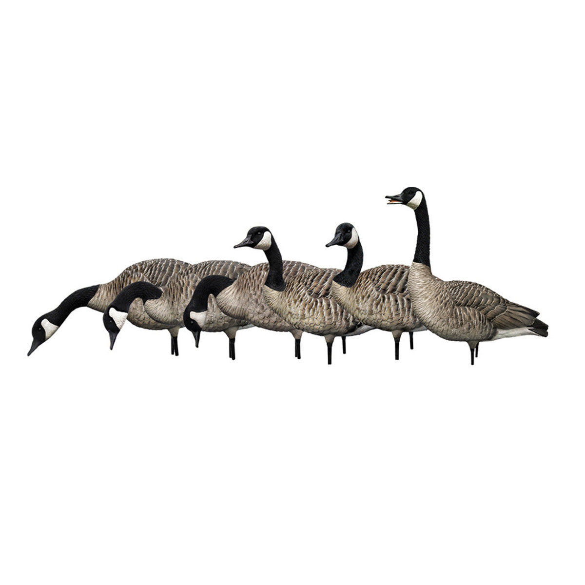Image of the Avian-X AXP Honker Fusion Goose Decoys 6 Pack