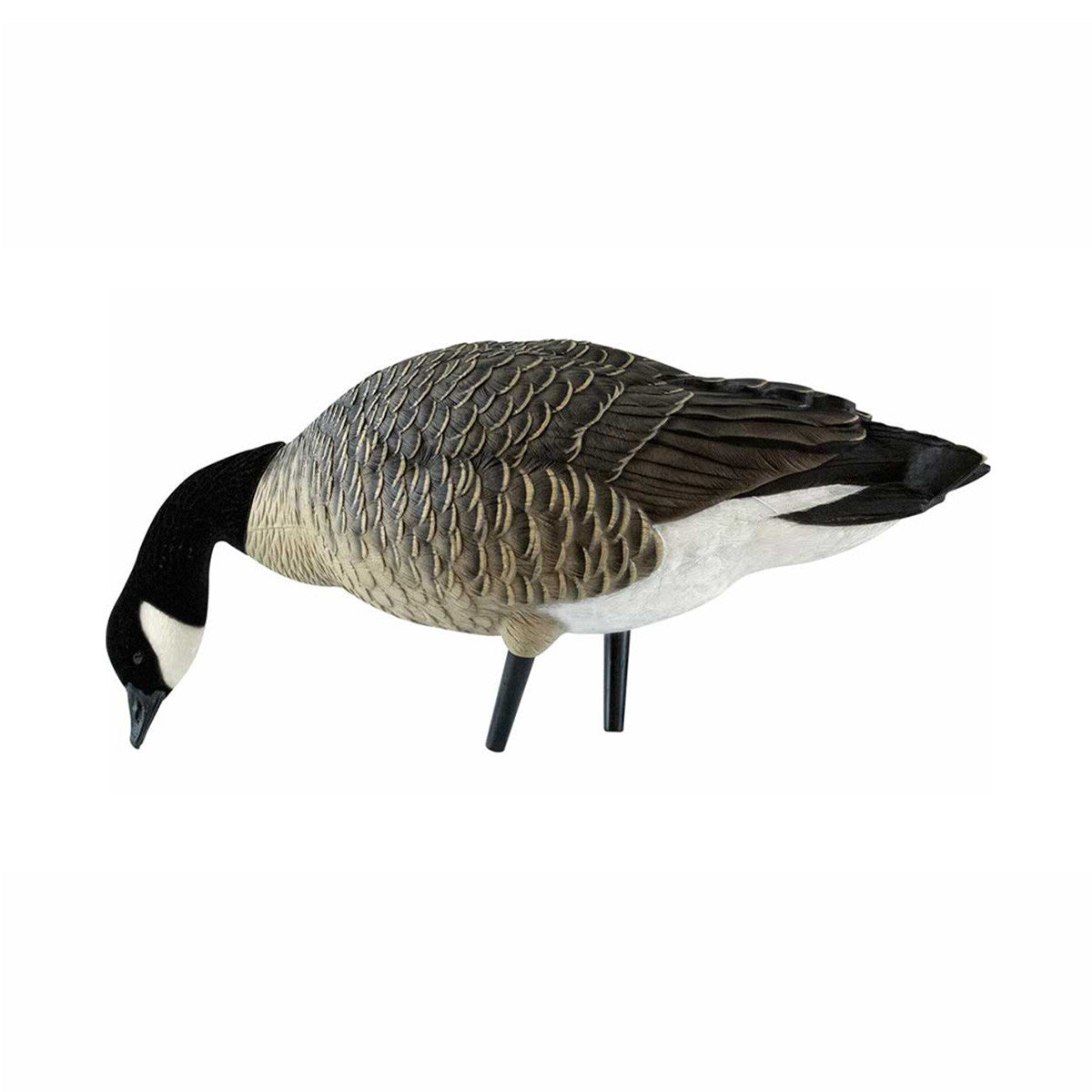 AXP Full-Body Lesser Canada Goose Feeder Decoy Picking Feeder Image