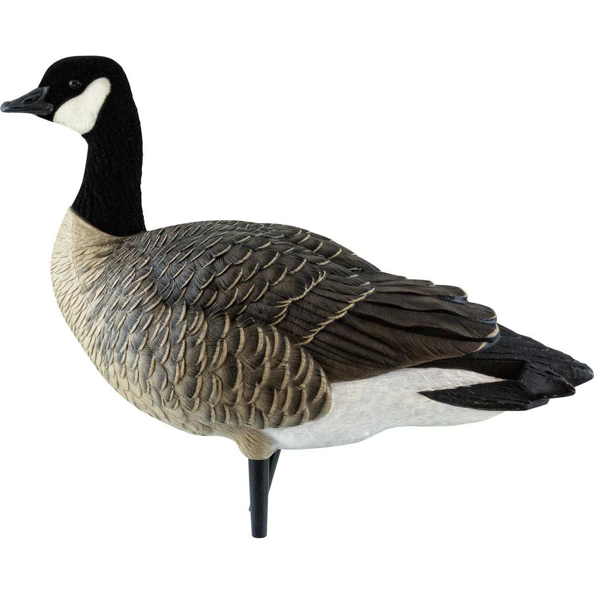 AXP Full-Body Painted Active Lesser Canada Decoys with 6-Slot Decoy Bag
