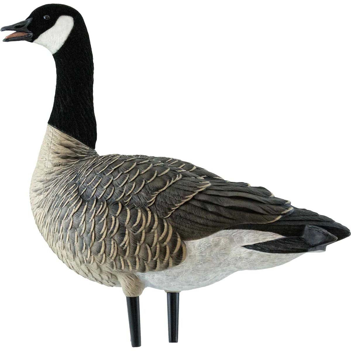 AXP Full-Body Painted Active Lesser Canada Decoys with 6-Slot Decoy Bag