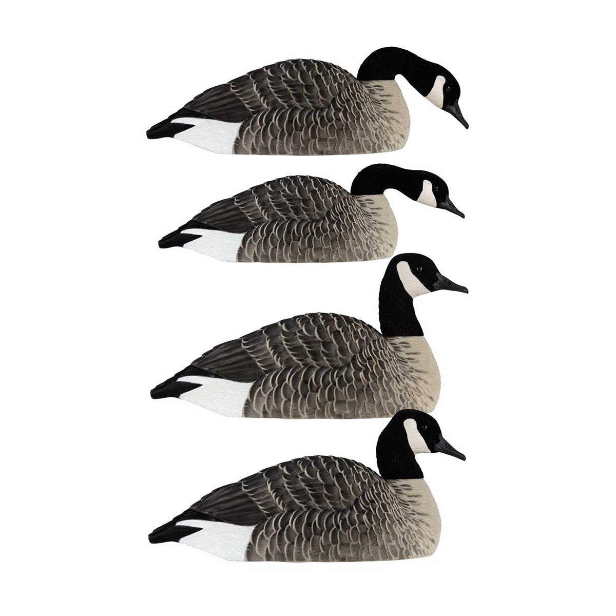 AXP Painted Honker Shell Goose Decoys - 6 Pack
