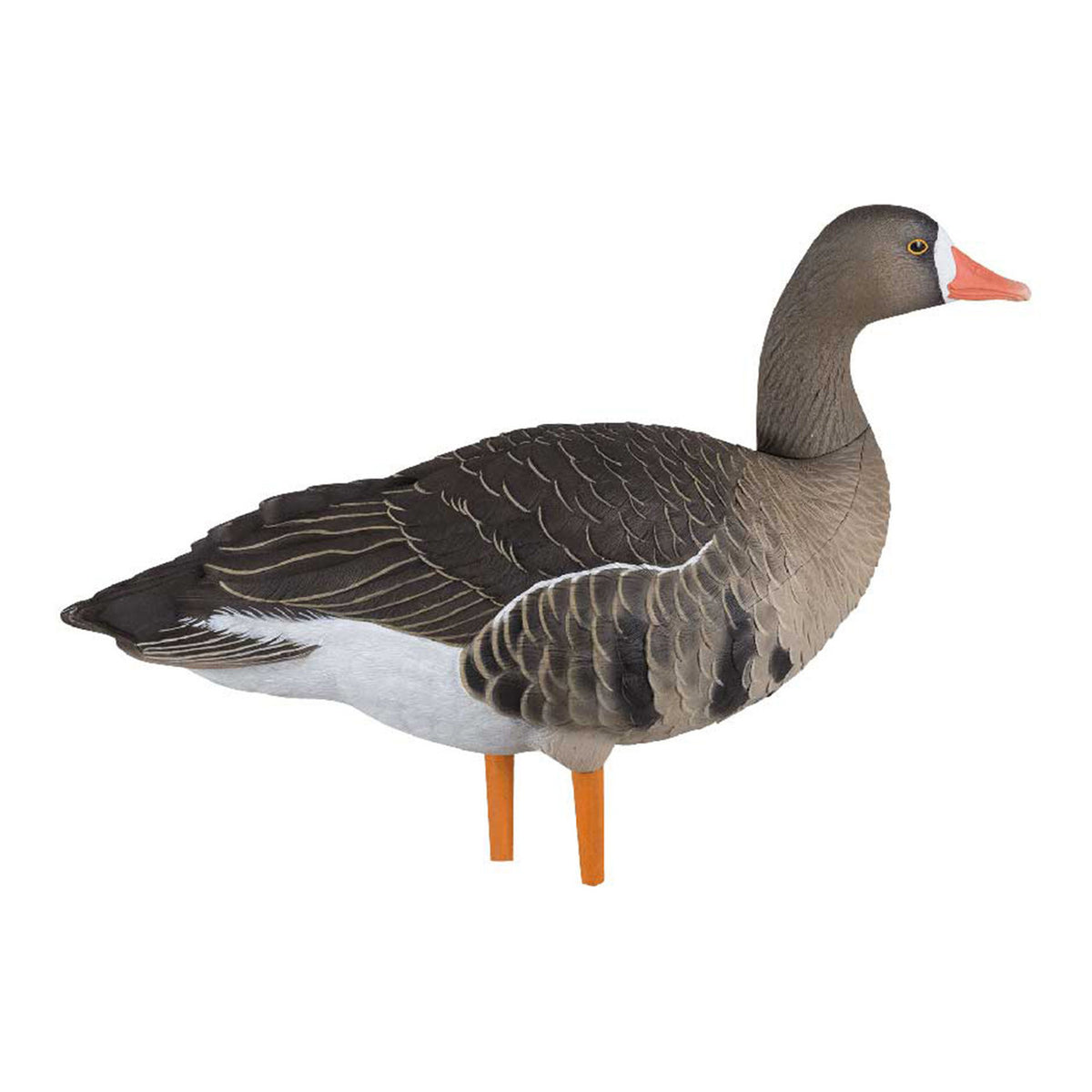 Avian-X AXP Painted Fusion Specklebelly Goose Sentry Image