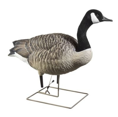 AXF Full-Body Fully Flocked Canada Goose Decoys - Walkers