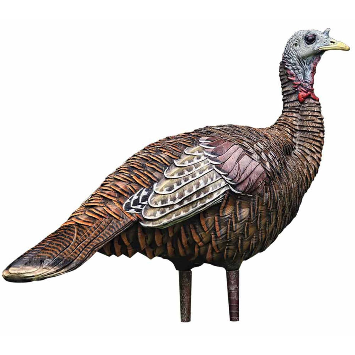 Avian-X LCD Lookout Hen Turkey Decoy Image