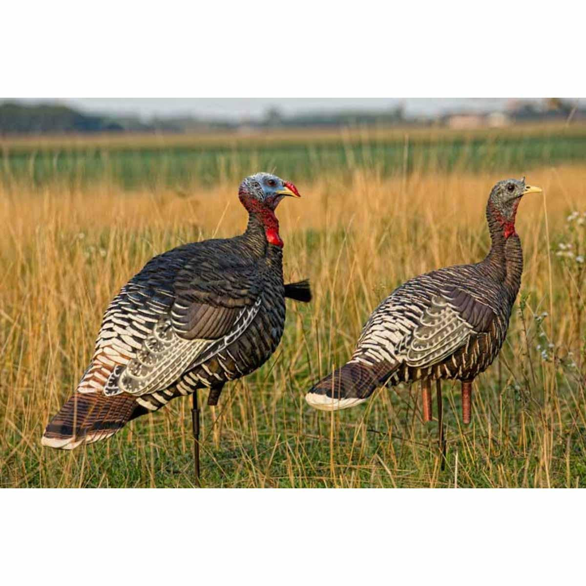 Avian-X Merriam Lookout Jake and Hen Decoy Combo Pack Image