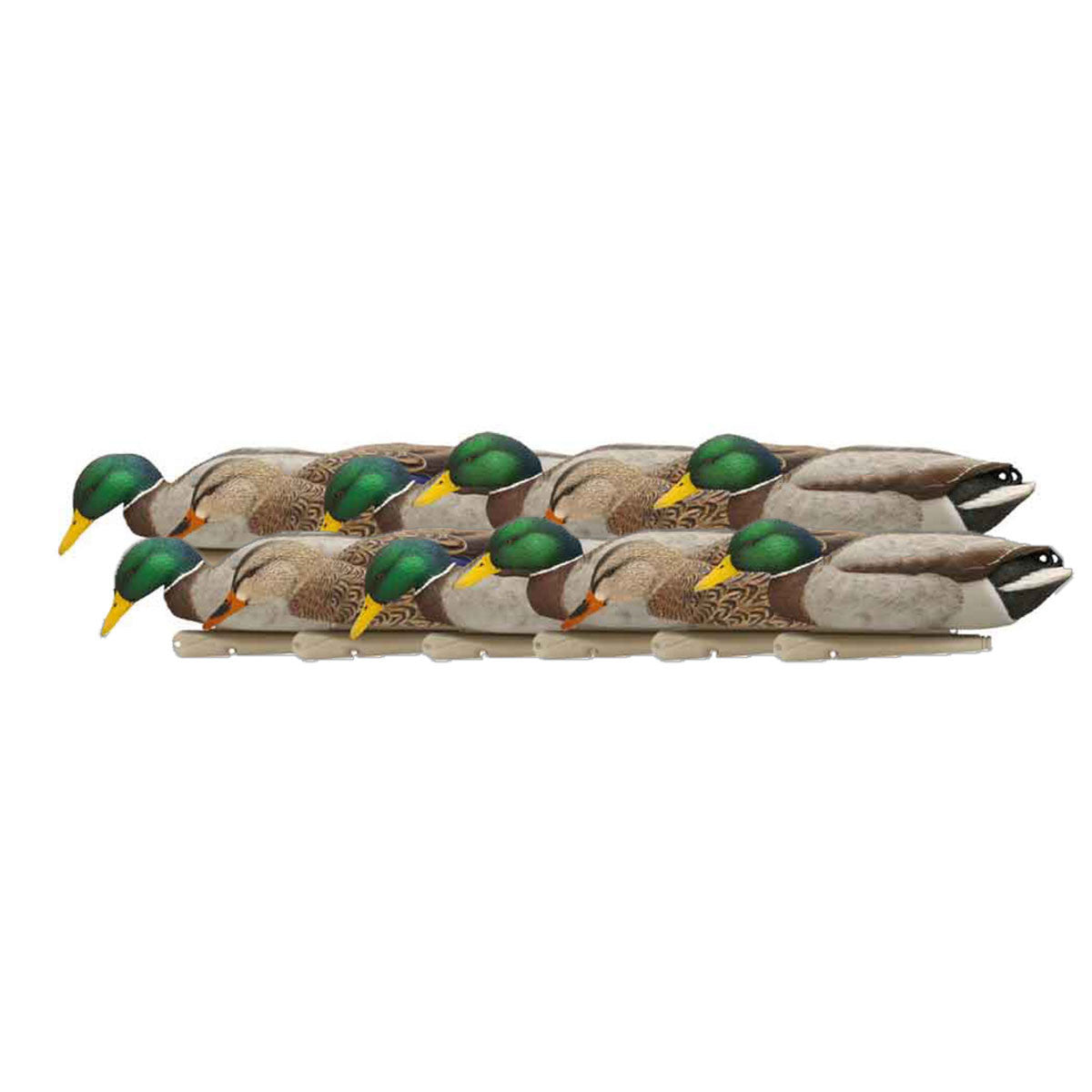 Floating Mallard Duck Decoys - Back Water 12 Pack, With 12 Slot Decoy Bag Kit