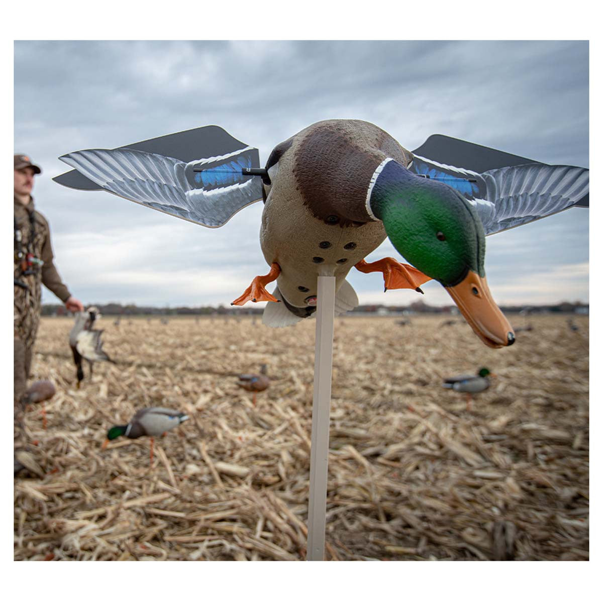 Avian-X Powerflight Smart Motion Mallard Spinning Wing Duck Decoy Image